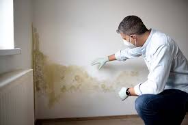 Best Residential Mold Inspection & Testing in Des Moines, WA